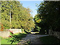 Lane leading to Thwaite House Bridge