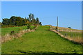 Grassy track near Holt