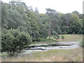 NY3602 : Brathay and Skelwith - Mortimere by Peter S