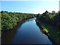 The River Leven