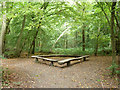 Benches, Birchanger Wood