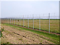 Stansted Airport boundary fence