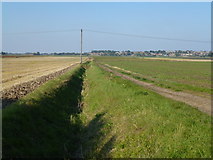TL4376 : Track and dike over North Fen by Richard Humphrey