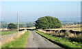 Road east of New House Farm