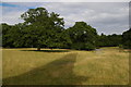 Ickworth Park: looking north-east from the monument to the Earl-Bishop