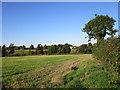 View towards Sandbeck Home Farm