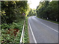 Titnore Lane looking south from small bridge