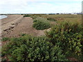 Shingle ridge, West Mersea