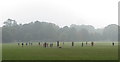 Football practice at Blackweir Fields in Cardiff