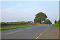 A1304 towards Newmarket