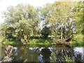 River Great Ouse