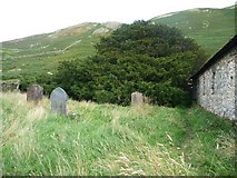 NY4318 : Ancient yew tree, Martindale old churchyard by Christine Johnstone