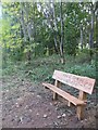 New bench near Danish Camp