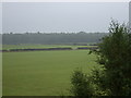 Farmland near  the M6 Motorway, Floristonrigg