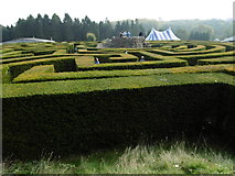 TQ8352 : Looking across the maze at Leeds Castle by Marathon