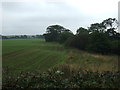 Crop field beside the Dornock Burn