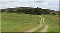 Road near Muir Cottage, Milden