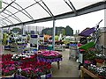 Colourful display at Wyevale garden centre Louth