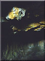 NY4406 : Inside Cauldron Quarry, Kentmere by Karl and Ali