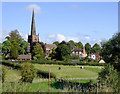 Pasture south of Brewood, Staffordshire