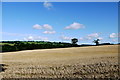 ST2609 : Field of Stubble near Howley by Nigel Mykura