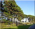 Culdrose security fence and trees