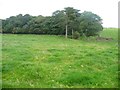 Mapped but little-used footpath, south of Mowbreck Lane