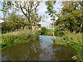 Drainage ditch at Chilley Farm