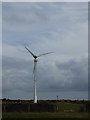 Wind turbine near Pollard