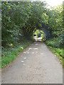 Country lane at Downgate