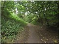 Path through the Goody Patchy, Tweedmouth