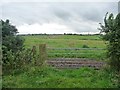 SD4333 : Farmland south of Mowbreck Lane by Christine Johnstone