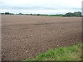 Large field, north side of Mowbreck Lane [1]