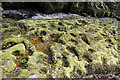 SO0409 : Moss-covered limestone by Alan Hughes