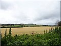 View south from the old railway walk