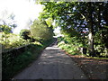 Bridge along Jamestown Road