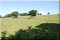 Steep Pastureland above Crawley Farm