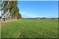 Ground at Ayr Racecourse