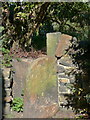 Stile on Brighouse FP83, Clifton