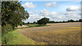 Fields north of Stanfield Road