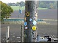 What a lot of trail signs at this junction