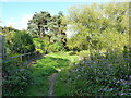 Severn Way east of Belvidere