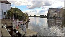 TL3171 : Great Ouse flows east at St Ives by Chris Morgan