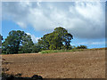 TQ8855 : Ploughed field by Robin Webster
