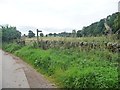 Public footpath signpost, Celleron