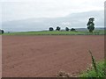 NY5024 : Large bare field, north of Limekiln Plantation [1] by Christine Johnstone