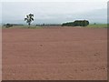 NY5024 : Large bare field, north of Limekiln Plantation [2] by Christine Johnstone