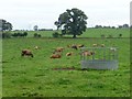 Part of Abbott Lodge Farm