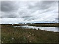 Bateswood SWT Reserve: pool on the plateau