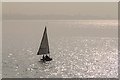 TR1067 : Sailing Dinghy,  Whitstable, Kent by Christine Matthews